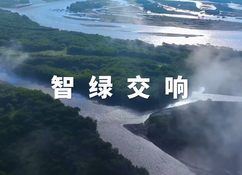 綠色 封面.jpg