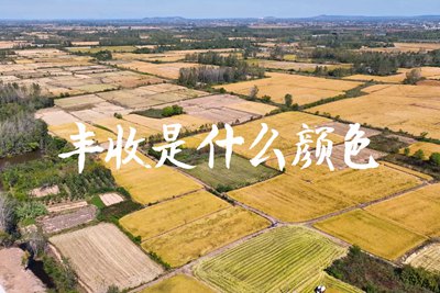 春種一粒粟，秋收萬顆子。多彩的豐收季，只愿五谷豐登，百事興旺3.240_400.jpg