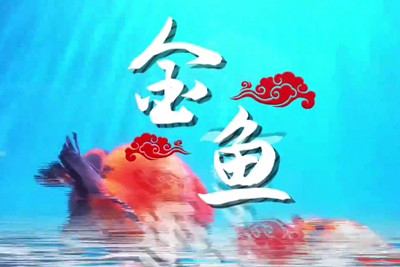 金魚歡躍，流光溢彩！_400.jpg